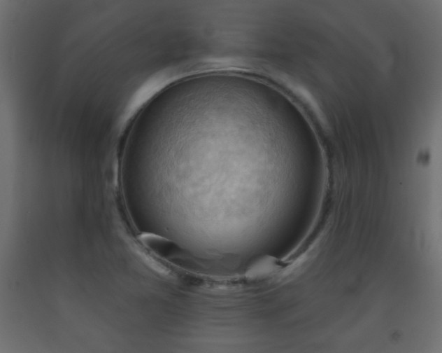 X0000093561365200710151059