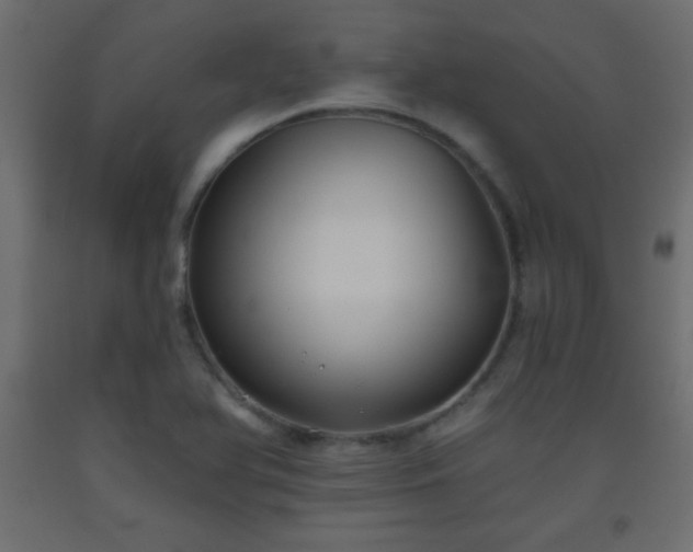 X0000093561366200710151059