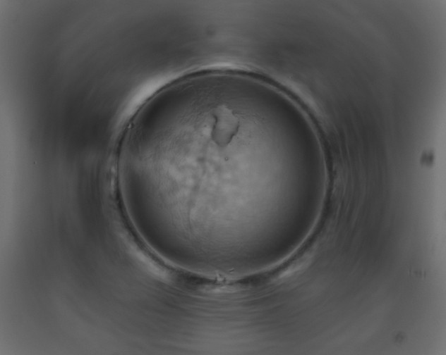 X0000093561367200710151059