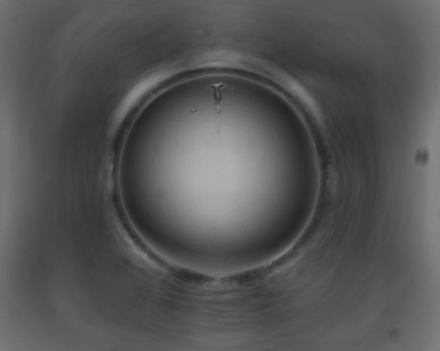 X0000093561368200710151059