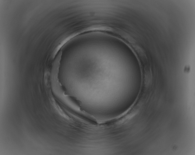 X0000093561369200710151059