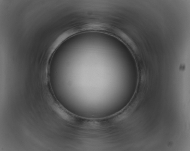 X0000093561370200710151059