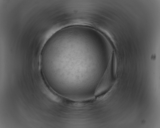 X0000093561371200710151059