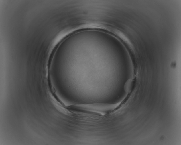 X0000093561372200710151059