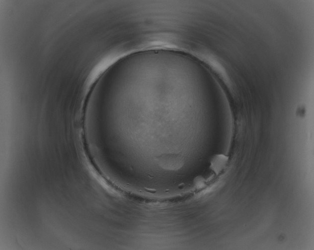 X0000093561373200710151059