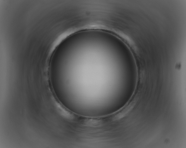 X0000093561374200710151059
