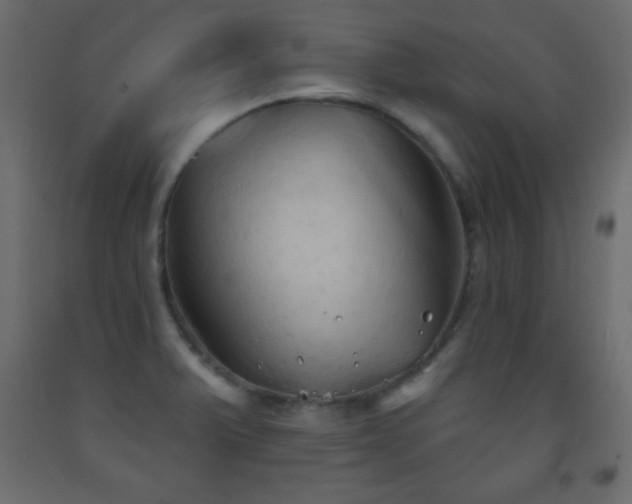 X0000093561375200710151059
