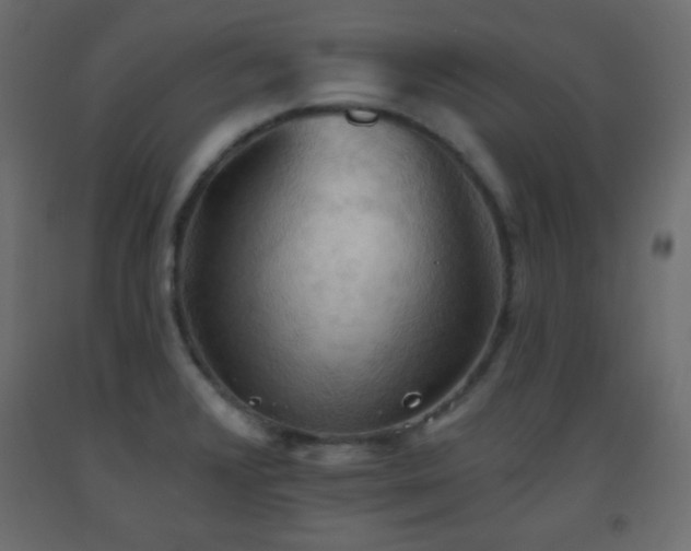 X0000093561376200710151059