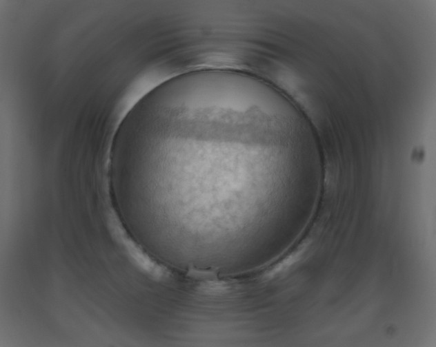 X0000093561378200710151058