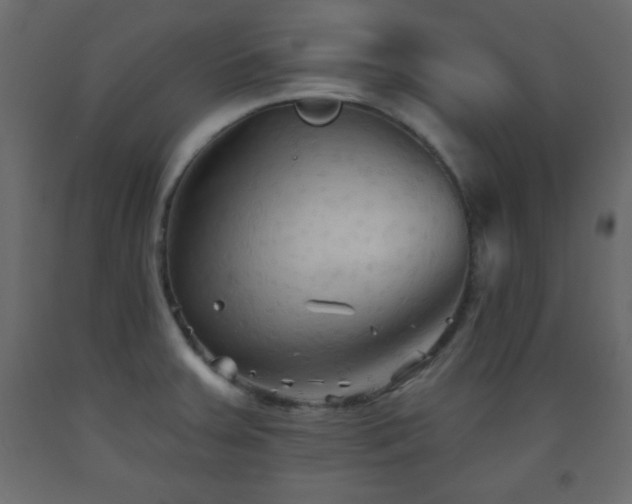 X0000093561379200710151058
