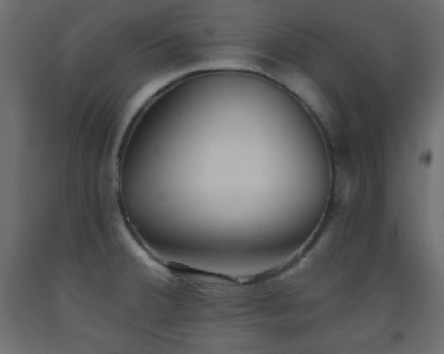 X0000093561380200710151058