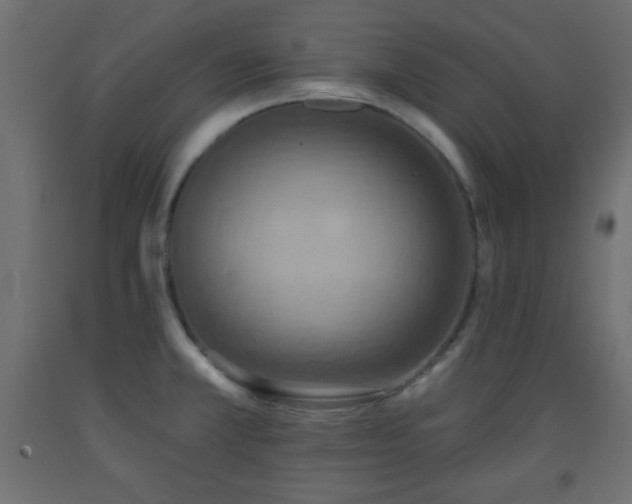 X0000093561381200710151058