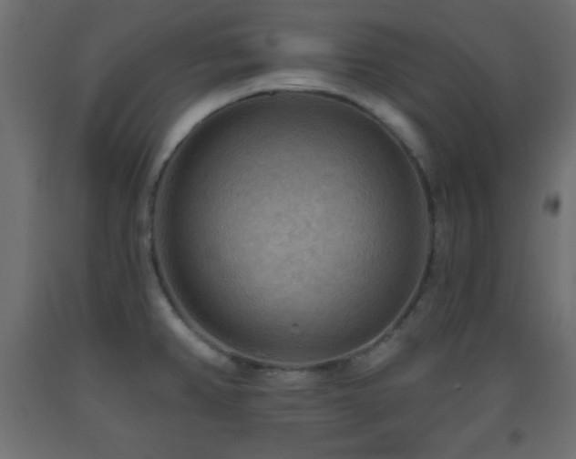 X0000093561382200710151058