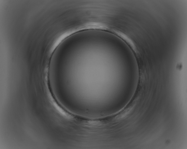 X0000093561383200710151058