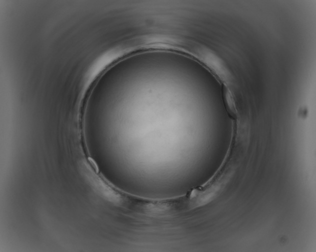 X0000093561384200710151058