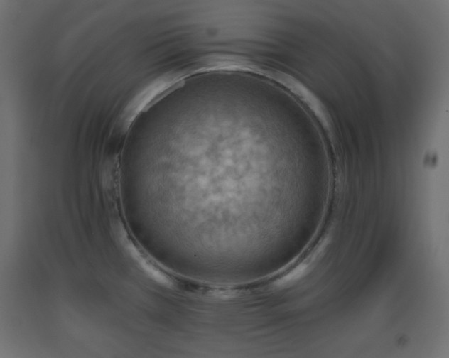 X0000093561385200710151058