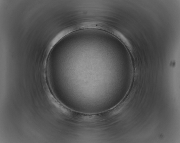 X0000093561386200710151058