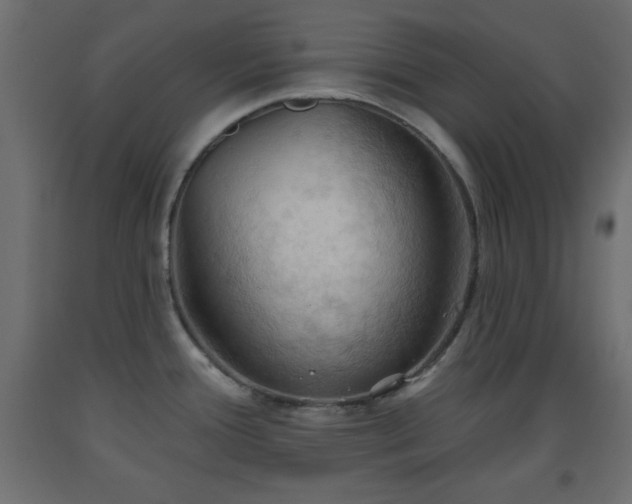 X0000093561388200710151058