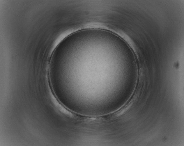 X0000093561390200710151058