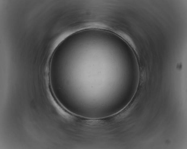 X0000093561391200710151058