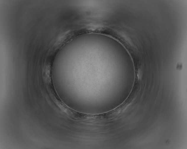 X0000093561396200710151058