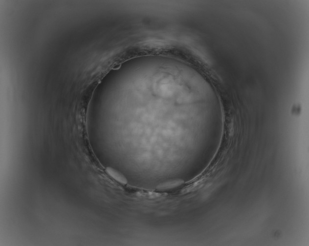 X0000093561397200710151058
