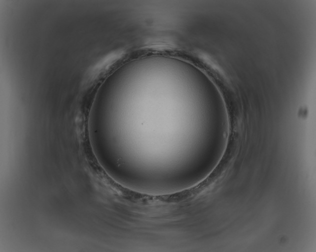 X0000093561398200710151058
