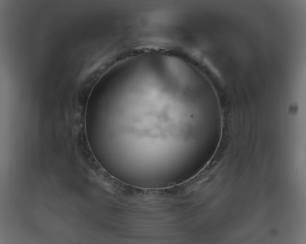 X0000093561399200710151058