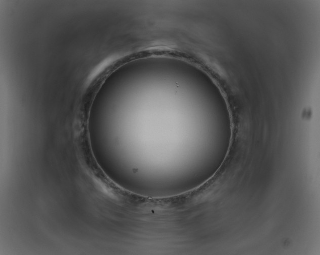 X0000093561400200710151058