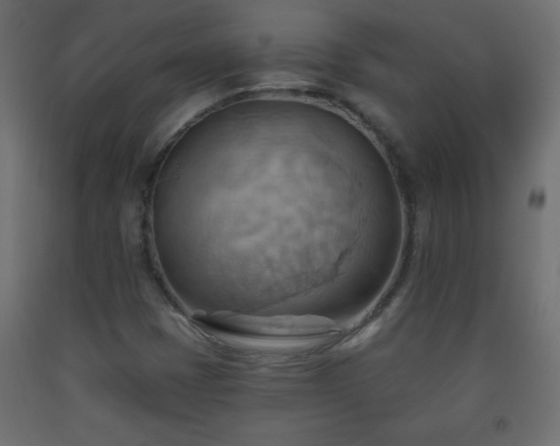 X0000093561401200710151058