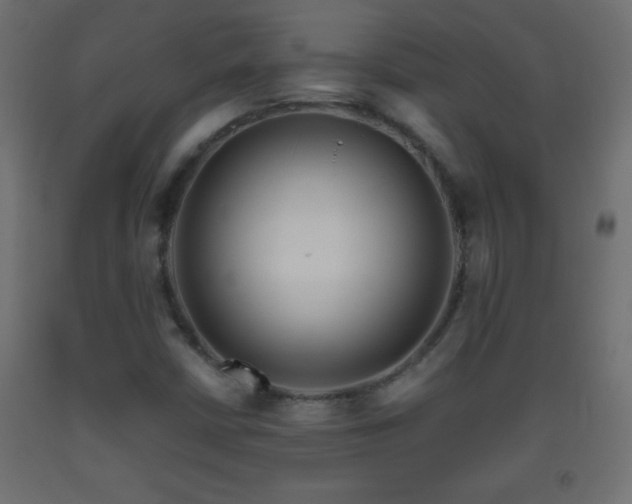 X0000093561402200710151058