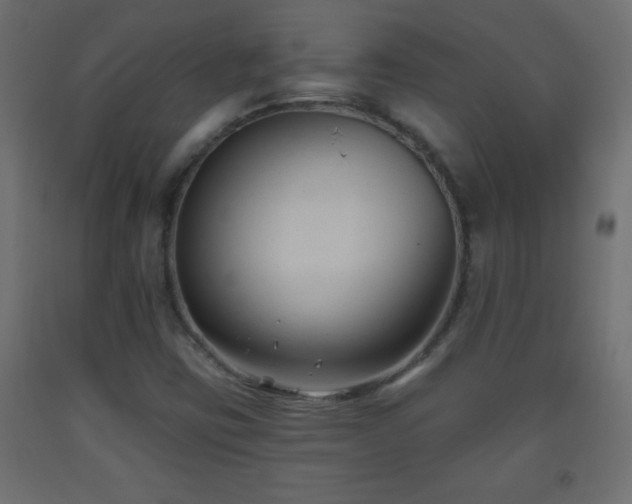 X0000093561403200710151058