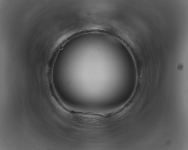 X0000093561404200710151058