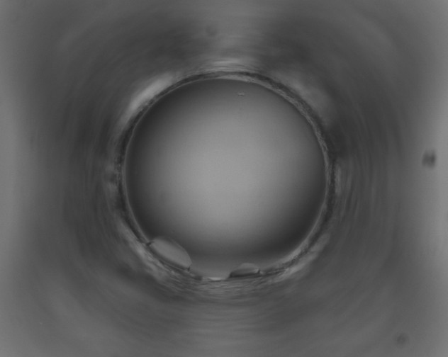 X0000093561405200710151058
