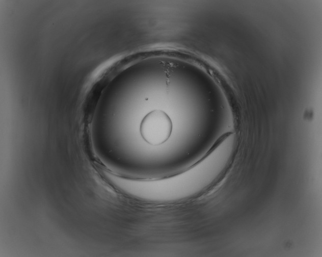 X0000093561406200710151058