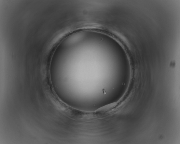 X0000093561407200710151058