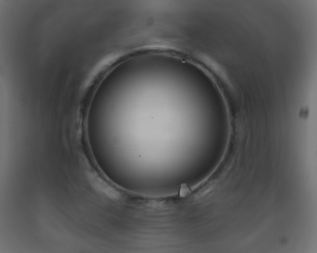 X0000093561408200710151058