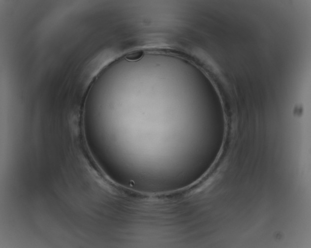 X0000093561409200710151058