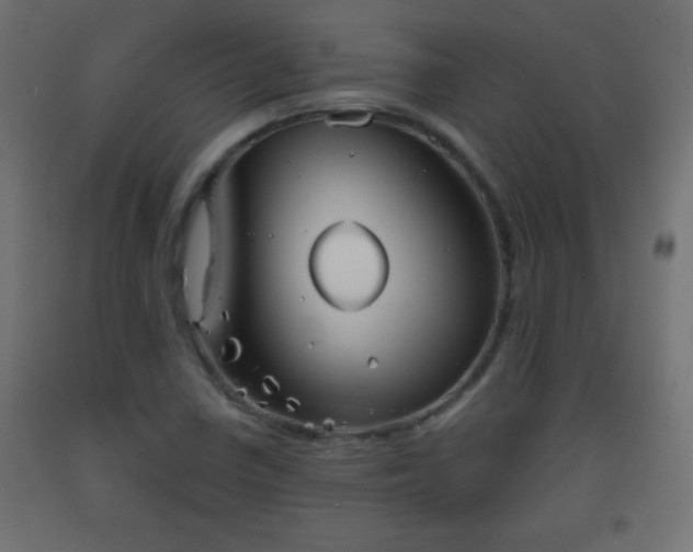 X0000093561410200710151058