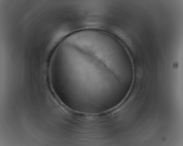 X0000093561411200710151058