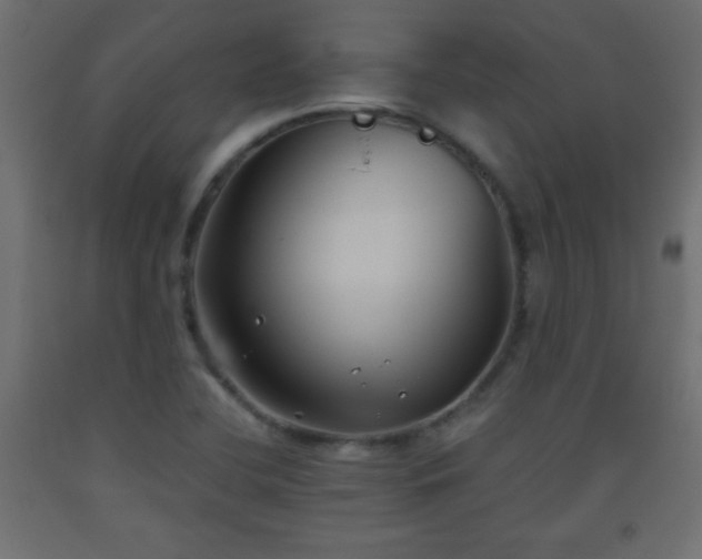 X0000093561412200710151058