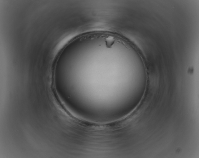 X0000093561415200710151058