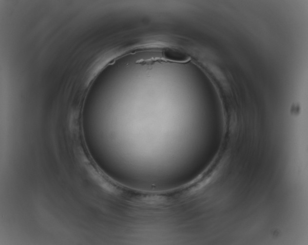 X0000093561417200710151058