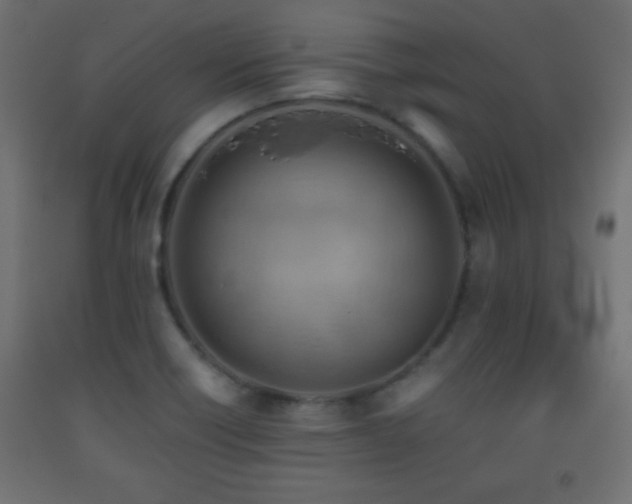 X0000093561418200710151058