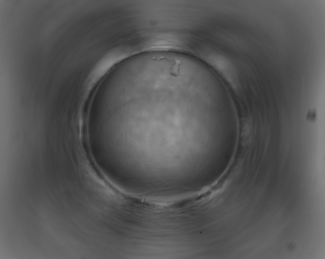 X0000093561419200710151058