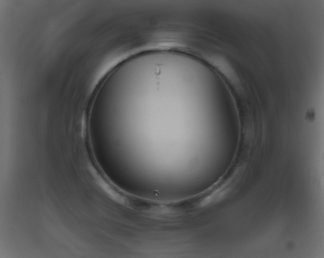 X0000093561420200710151058