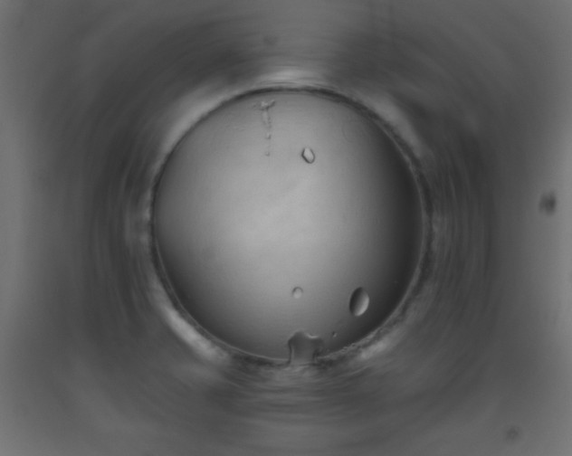 X0000093561421200710151058