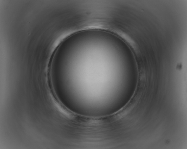 X0000093561423200710151058