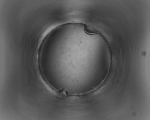 X0000093561424200710151058