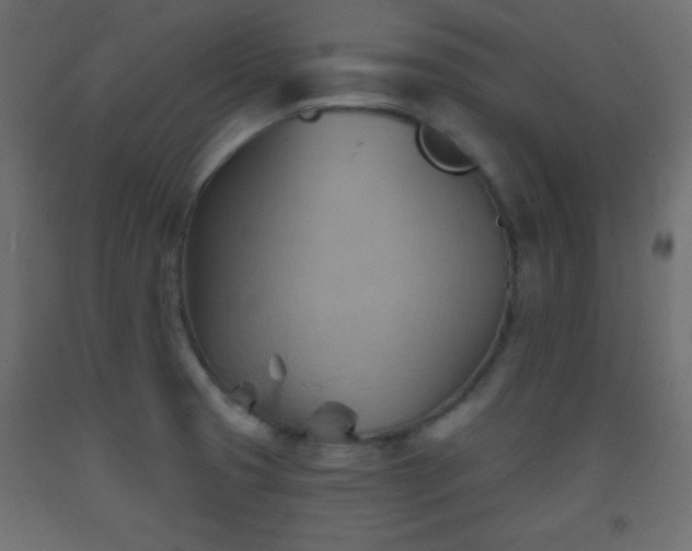 X0000093561425200710151058
